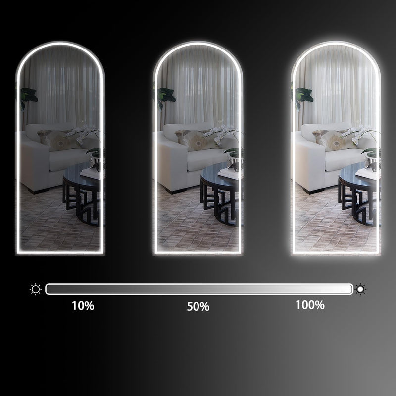 CASSILANDO Full Length Mirror165X60cm Arched Mirror, Black Floor Mirror with Standing Full Body Mirrors Hanging or Leaning Against Wall, for Cloakroom, Bedroom, Livingroom (Black)