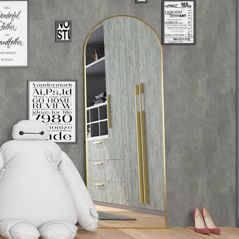 CASSILANDO Full Length Mirror165X60cm Arched Mirror, Black Floor Mirror with Standing Full Body Mirrors Hanging or Leaning Against Wall, for Cloakroom, Bedroom, Livingroom (Black)